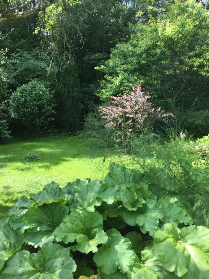 Un Coin De Foret Courmas 外观 照片