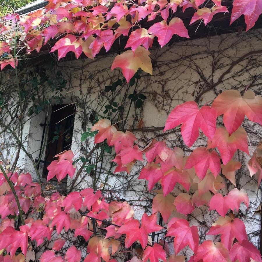Un Coin De Foret Courmas 外观 照片